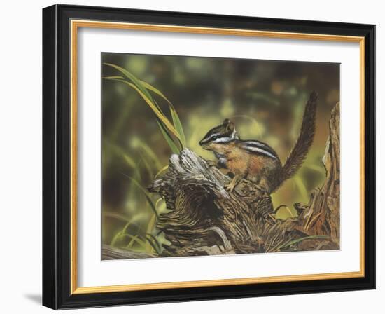 Chipmunk-William Vanderdasson-Framed Giclee Print