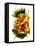 Chiquita Sunflower-Julia McLemore-Framed Premier Image Canvas