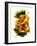 Chiquita Sunflower-Julia McLemore-Framed Photographic Print