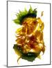 Chiquita Sunflower-Julia McLemore-Mounted Photographic Print