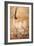 Chiru, 1840-Brian Houghton Hodgson-Framed Giclee Print