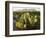 Chisos Mountains and Prickly Pear Cactus, Big Bend National Park, Brewster Co., Texas, Usa-Larry Ditto-Framed Photographic Print