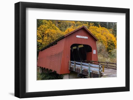 Chitwood Covered Bridge in autumn in Lincoln County, Oregon, USA-Chuck Haney-Framed Photographic Print