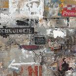 Urban Language-Chiu Tak-Hak-Framed Stretched Canvas