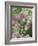 Chives and Carraway, Louisville, Kentucky, USA-Adam Jones-Framed Photographic Print