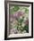 Chives and Carraway, Louisville, Kentucky, USA-Adam Jones-Framed Photographic Print