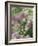 Chives and Carraway, Louisville, Kentucky, USA-Adam Jones-Framed Photographic Print