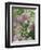 Chives and Carraway, Louisville, Kentucky, USA-Adam Jones-Framed Photographic Print