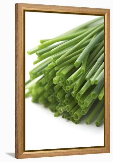 Chives-Jon Stokes-Framed Premier Image Canvas