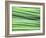 Chives-Ulrike Holsten-Framed Photographic Print