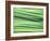 Chives-Ulrike Holsten-Framed Photographic Print