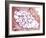 Chlamydia Trachomatis Bacteria, TEM-Biomedical Imaging-Framed Photographic Print