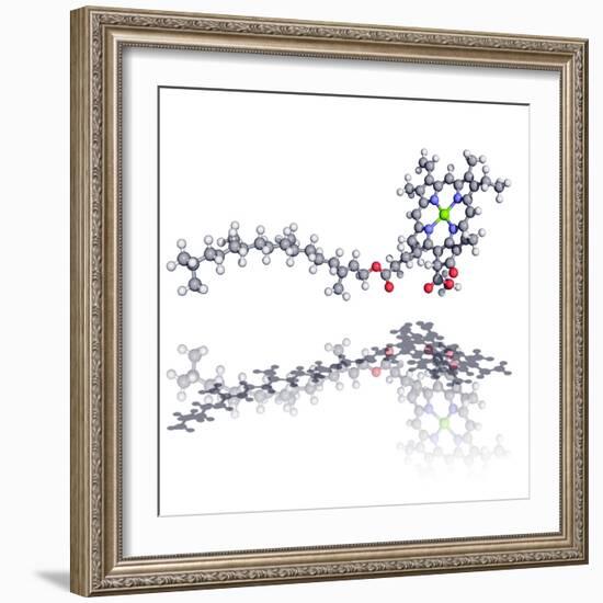 Chlorophyll Molecule-Laguna Design-Framed Premium Photographic Print