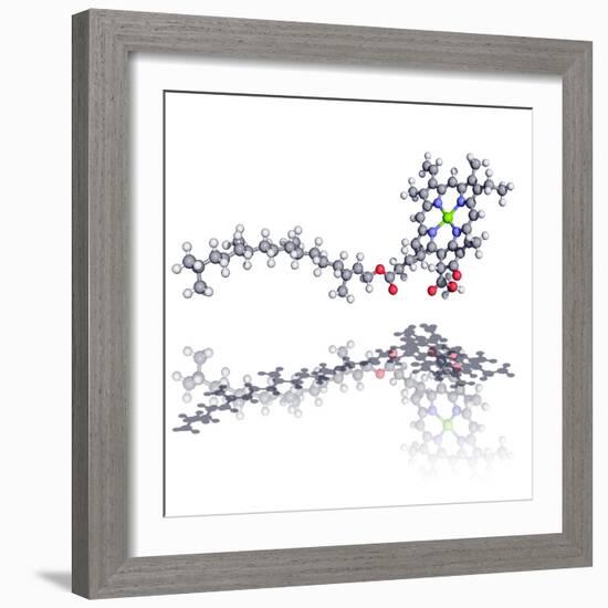 Chlorophyll Molecule-Laguna Design-Framed Premium Photographic Print