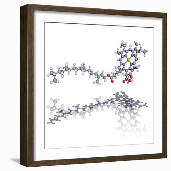 Chlorophyll Molecule-Laguna Design-Framed Premium Photographic Print