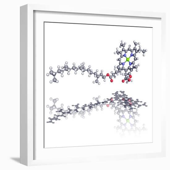 Chlorophyll Molecule-Laguna Design-Framed Premium Photographic Print