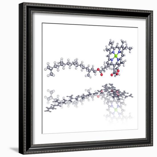 Chlorophyll Molecule-Laguna Design-Framed Premium Photographic Print