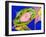 Chloroplasts From Leaf of Coleus-Dr. Jeremy Burgess-Framed Photographic Print