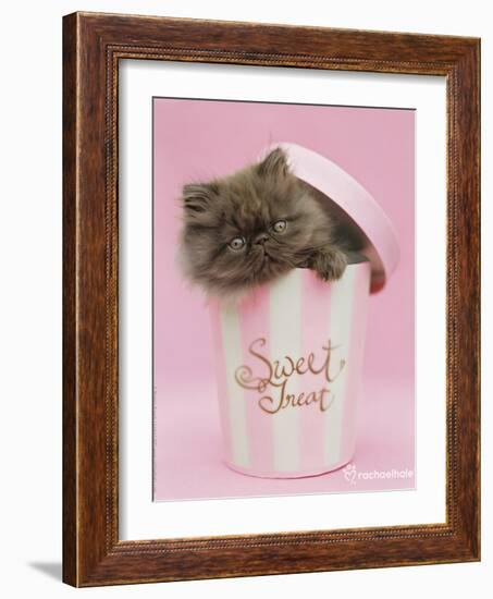 Chocky-Rachael Hale-Framed Photo