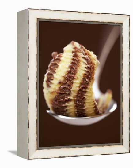 Chocolate and Vanilla Ice Cream on a Spoon-Marc O^ Finley-Framed Premier Image Canvas