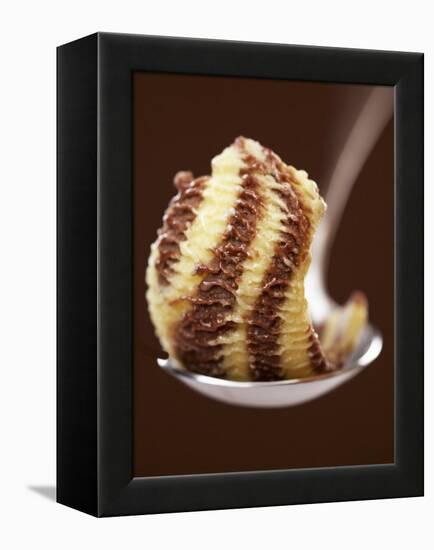 Chocolate and Vanilla Ice Cream on a Spoon-Marc O^ Finley-Framed Premier Image Canvas