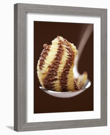 Chocolate and Vanilla Ice Cream on a Spoon-Marc O^ Finley-Framed Photographic Print