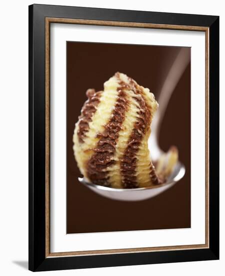 Chocolate and Vanilla Ice Cream on a Spoon-Marc O^ Finley-Framed Photographic Print