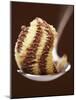 Chocolate and Vanilla Ice Cream on a Spoon-Marc O^ Finley-Mounted Photographic Print