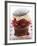 Chocolate Cherry Muffin with Whipped Cream and Lid-null-Framed Photographic Print