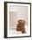 Chocolate Chip Cookies and a Glass of Milk-null-Framed Photographic Print