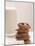 Chocolate Chip Cookies and a Glass of Milk-null-Mounted Photographic Print