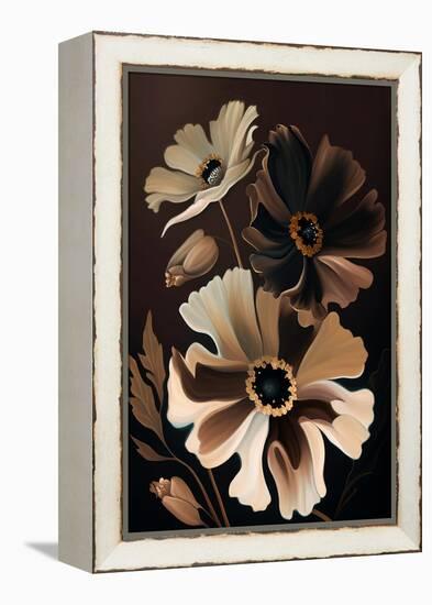 Chocolate Cosmos Flowers-Lea Faucher-Framed Stretched Canvas