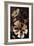 Chocolate Cosmos Flowers-Lea Faucher-Framed Premium Giclee Print