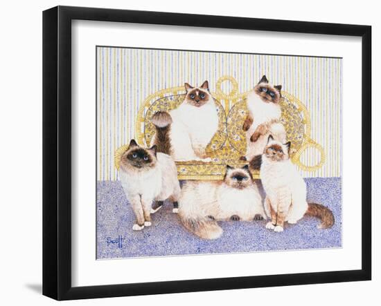 Chocolate Creams-Pat Scott-Framed Giclee Print