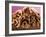 Chocolate Curls on Chocolate Cake-null-Framed Photographic Print