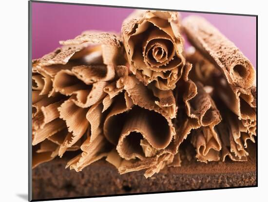 Chocolate Curls on Chocolate Cake-null-Mounted Photographic Print