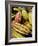 Chocolate Fruits From a Theobroma Cacao Tree, Madagascar, Africa-Michael Runkel-Framed Photographic Print