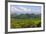 Chocolate Hills, Bohol Island, Philippines-Keren Su-Framed Photographic Print