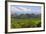 Chocolate Hills, Bohol Island, Philippines-Keren Su-Framed Photographic Print