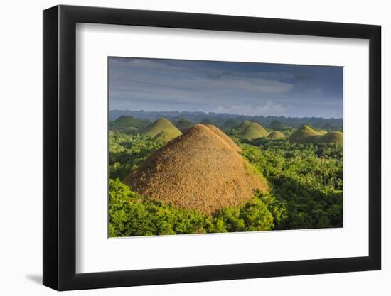 Chocolate Hills, Bohol, Philippines-Michael Runkel-Framed Photographic Print