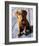 Chocolate Lab Gus-Robert Mcclintock-Framed Art Print