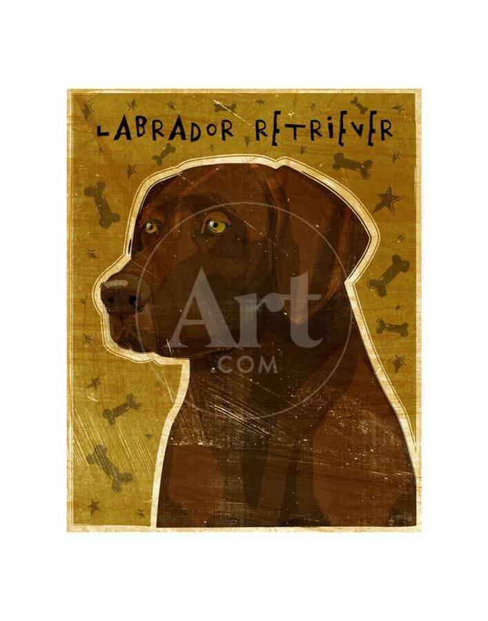 Chocolate Lab New Art Print By John W Golden Art Com