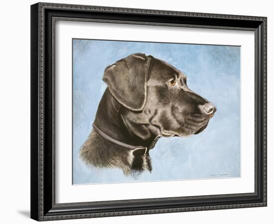 Chocolate Lab-Rusty Frentner-Framed Giclee Print