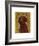 Chocolate Labradoodle-John W^ Golden-Framed Art Print