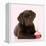 Chocolate Labrador Puppy Laying Down with Cup Cake-null-Framed Premier Image Canvas