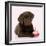 Chocolate Labrador Puppy Laying Down with Cup Cake-null-Framed Photographic Print