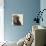 Chocolate Labrador-Emily Burrowes-Premium Giclee Print displayed on a wall