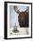 Chocolate Moose-Leah Saulnier-Framed Giclee Print