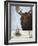 Chocolate Moose-Leah Saulnier-Framed Giclee Print