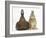 Chocolate Muscovy Duck and Netherland Dwarf-Cross Rabbit-Mark Taylor-Framed Photographic Print